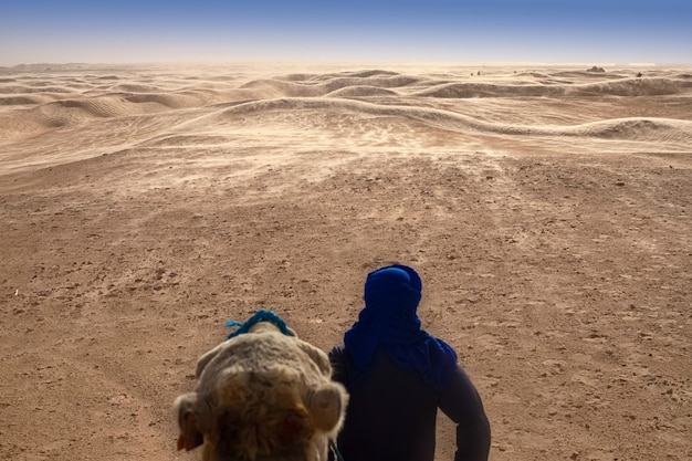 Berber sta con la schiena con un cammello e guarda in lontananza nel deserto del sahara