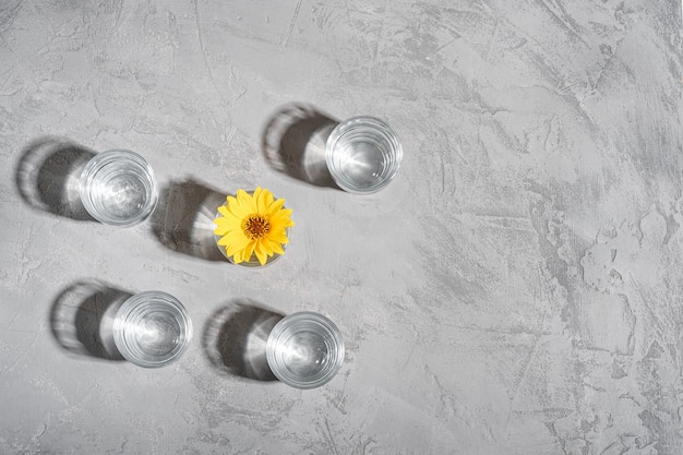 Bere acqua fresca e limpida con fiore giallo in vetro su cemento