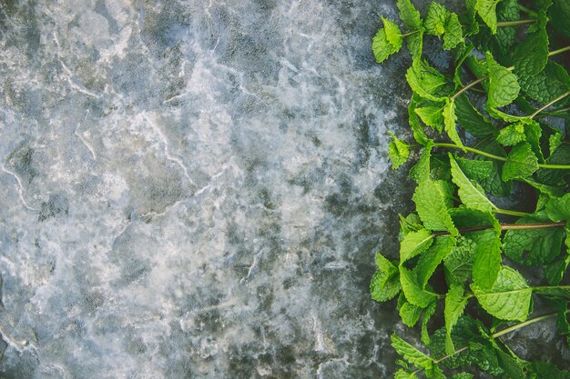 Bere lime e menta. Messa a fuoco selettiva cibo.