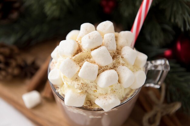 Bevanda al cioccolato caldo speziato con marshmallow