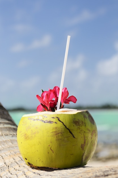 Bevanda di cocco con paglia sulla spiaggia