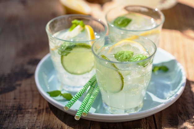 Bevanda rinfrescante della limonata con il limone della menta della menta in giardino