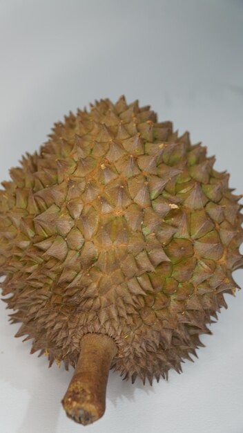 Bhineka Bawor è una varietà di durian originaria di Banyumas, a Giava centrale, famosa per la sua dolcezza.