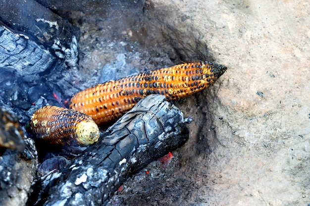 Bhutta di mais indiano cucinato su legna ardente