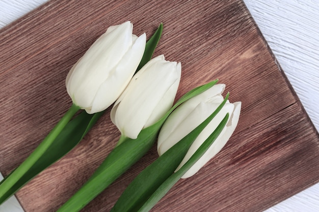 Bianco delicato dei fiori della primavera colorato, mazzo dei tulipani sulla tavola di legno. Sfondo floreale naturale con spazio di copia. Vista dall'alto.