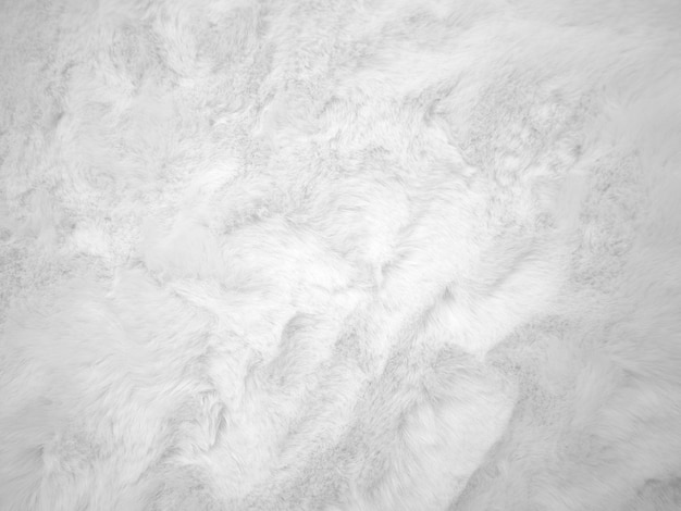 Bianco pulito lana texture sfondo luce naturale lana di pecora bianco cotone senza cuciture texture di soffice pelliccia per designer primo piano frammento di lana bianca tappeto