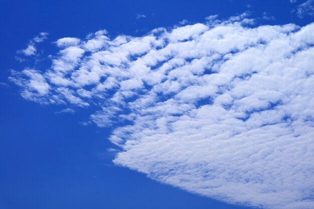 Bianco puro Altocumulus nuvole sul cielo blu vivido