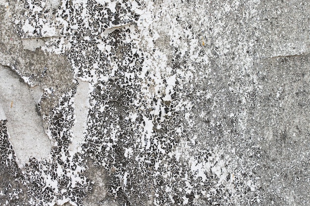 Bianco texture muro di cemento