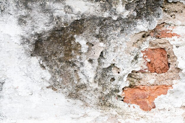 Bianco texture muro di cemento