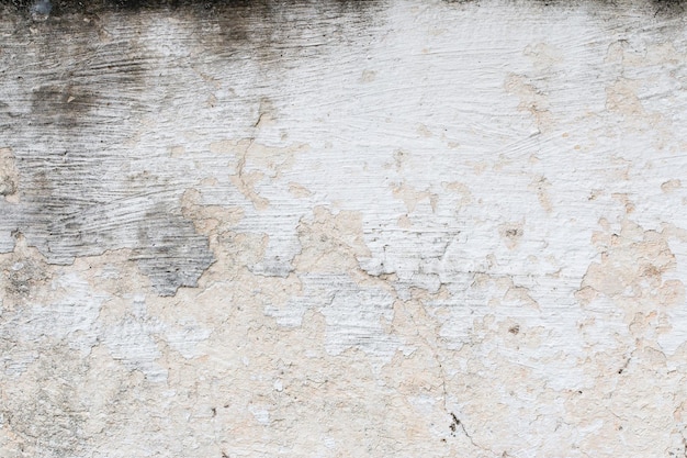 Bianco texture muro di cemento
