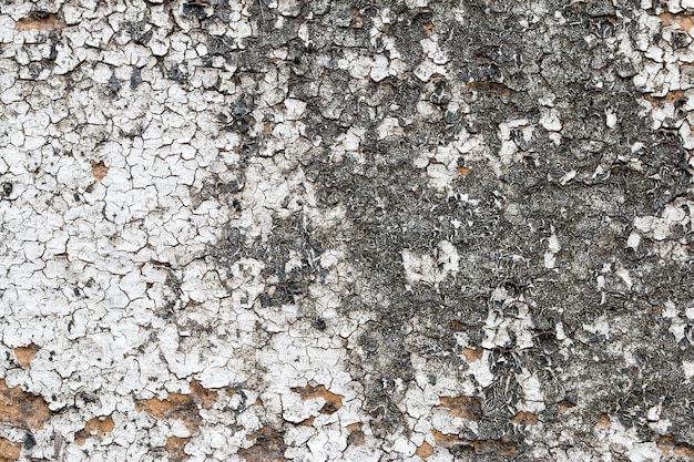 Bianco texture muro di cemento