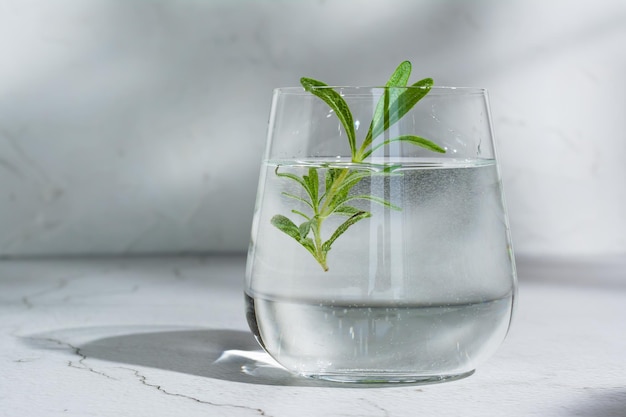 Bicchiere con acqua rinfrescante e rosmarino sul tavolo all'ombra delle foglie degli alberi