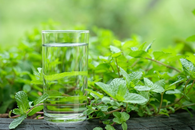 Bicchiere d&#39;acqua e menta