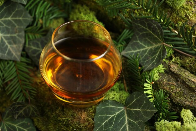 bicchiere di bevanda whisky sullo sfondo della foresta verde con muschio