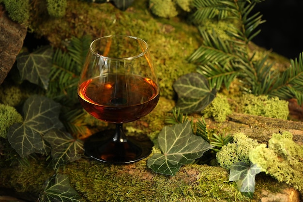 bicchiere di bevanda whisky sullo sfondo della foresta verde con muschio