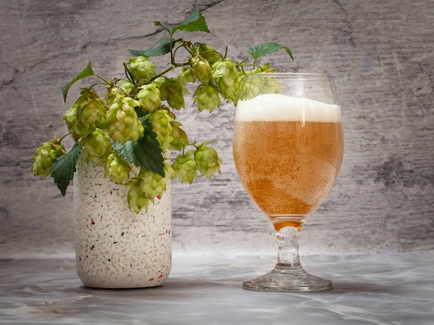 Bicchiere di birra con un ramo di luppolo sullo sfondo grigio.