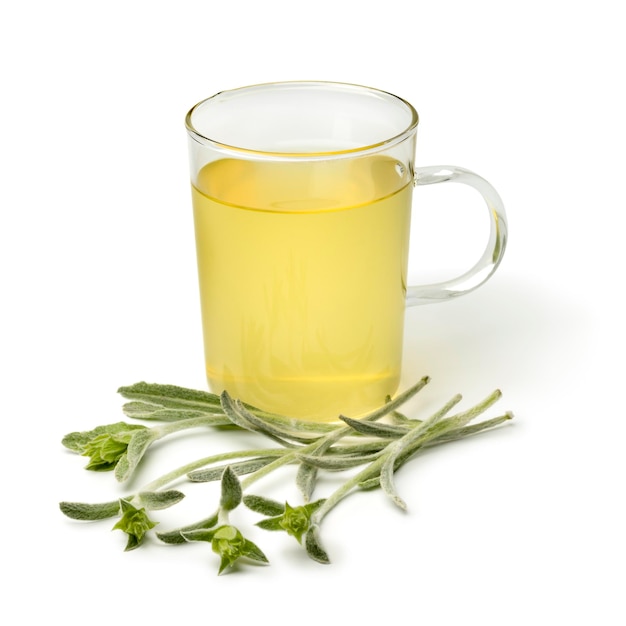 Bicchiere di tè con un ramoscello di ironwort verde fresco