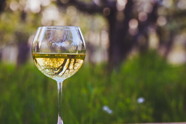 Bicchiere di vino con vino nel giardino delle mele sbocciante
