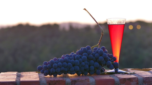 Bicchieri di vino rosso con uva nera sul tramonto