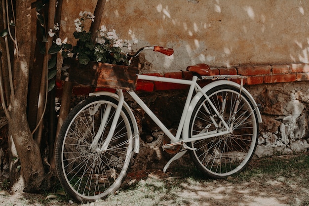 Bici d'epoca parcheggiata sul muro