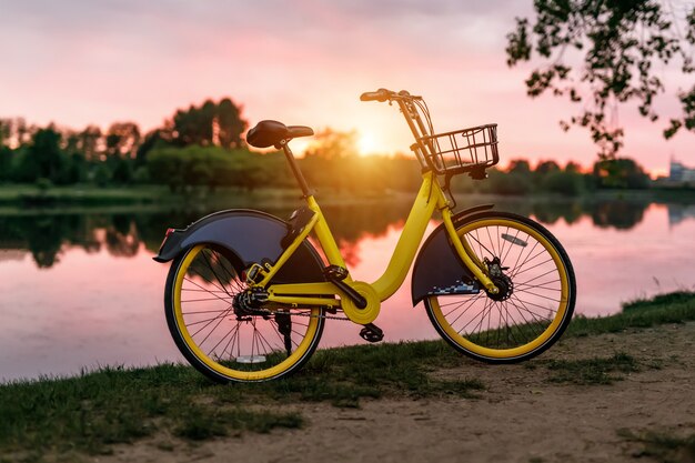 Bici gialla sul lago. Cielo rosa al tramonto