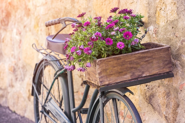 Bici su una strada