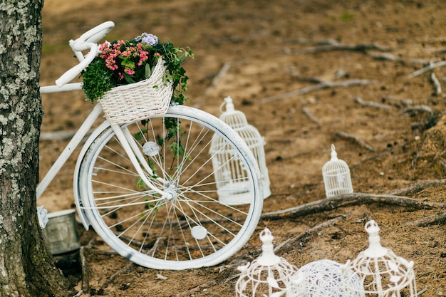 Bicicletta bianca e gabbie