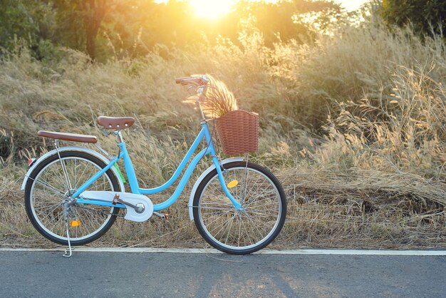 Bicicletta blu vintage con campo in erba estiva al tramonto