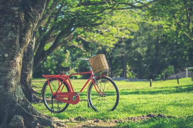 Bicicletta classica di stile del Giappone rosso al parco, effetto d&#39;annata del filtro