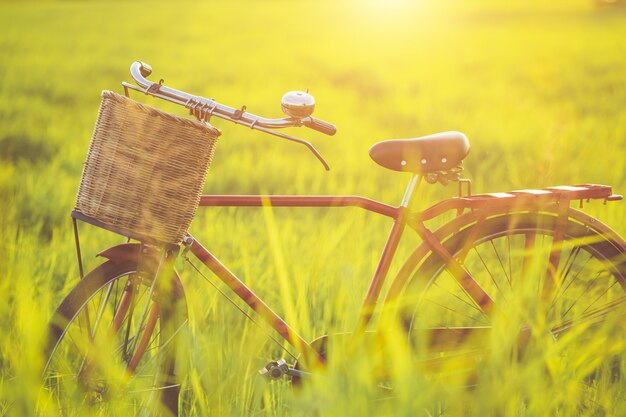 Bicicletta classica in stile Giappone rosso nel campo verde