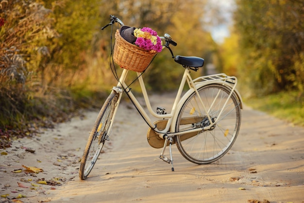 Bicicletta con un cesto pieno di fiori di campo