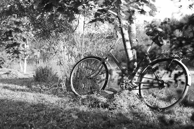 Bicicletta fotografica monocromatica su una natura rurale