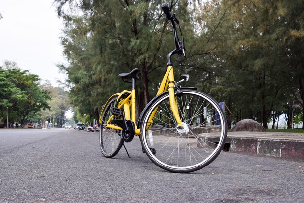 Bicicletta gialla nel parco pubblico.