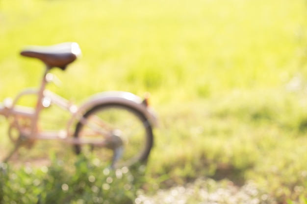 bicicletta in giardino con la luce del sole del mattino