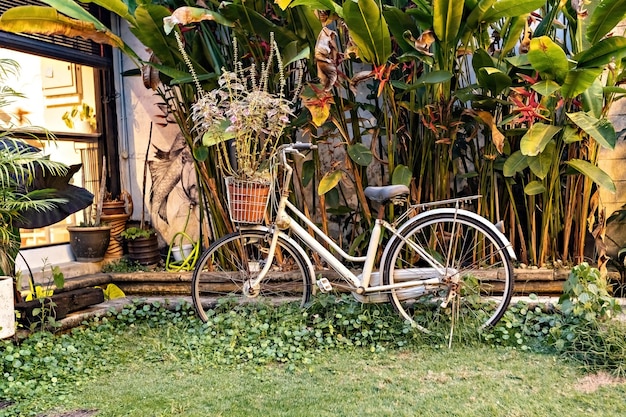 Bicicletta in giardino