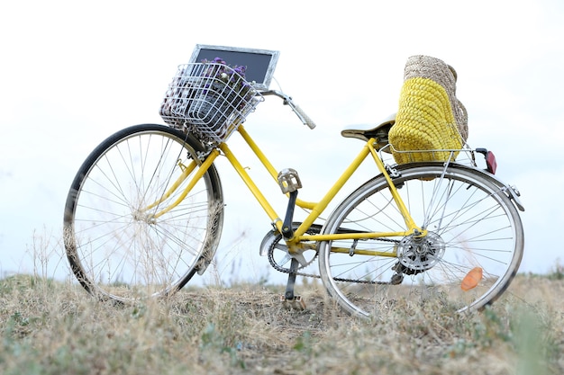 Bicicletta in prato durante il tramonto