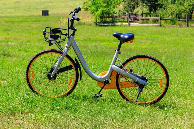 Bicicletta moderna parcheggiata su un prato verde in un'area rurale