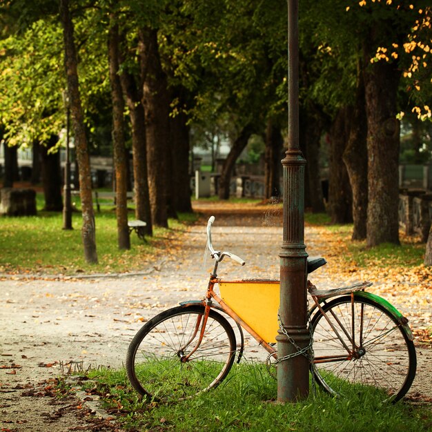 Bicicletta nel parco estone, cartolina della cultura europea