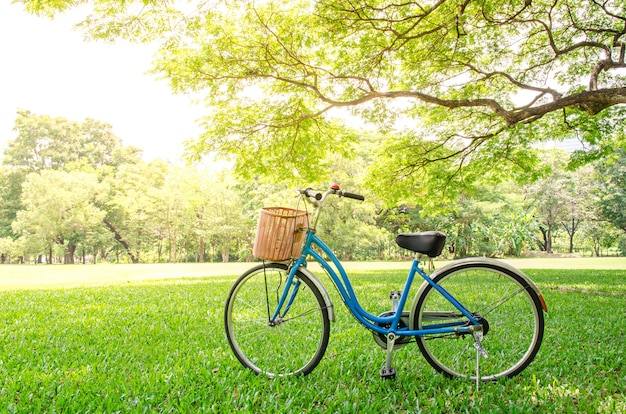 bicicletta nel parco verde