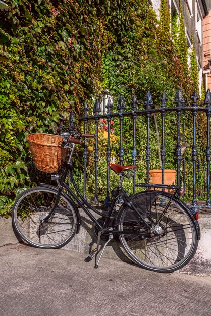 Bicicletta nera con cesto di vimini sul manubrio appoggiata su una recinzione metallica e edificio ricoperto di vegetazione sullo sfondo