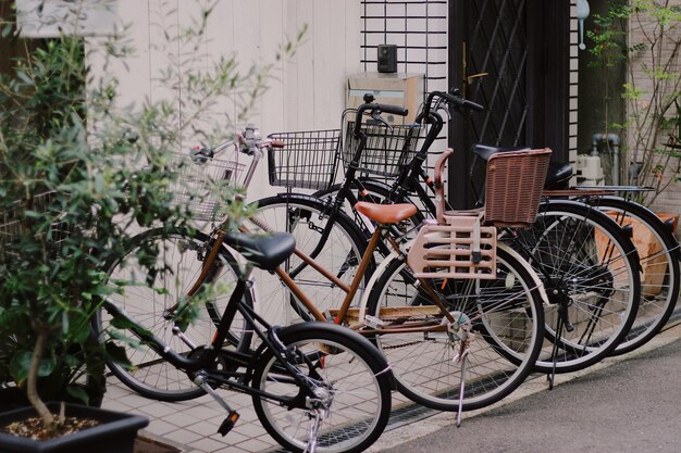 Bicicletta parcheggiata contro le piante