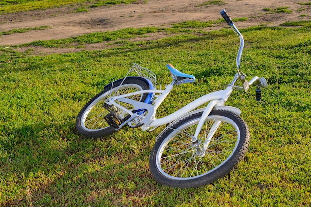 Bicicletta sdraiata sull'erba