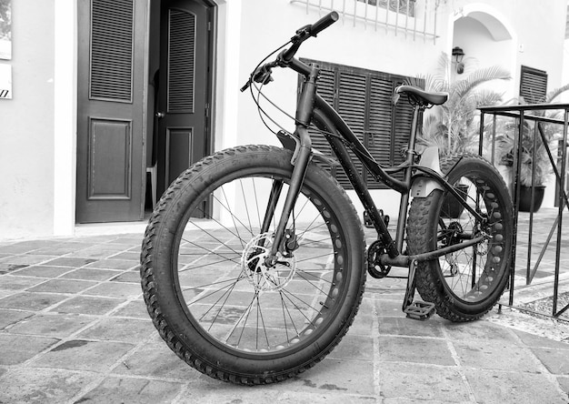 Bicicletta sportiva con ruote in gomma