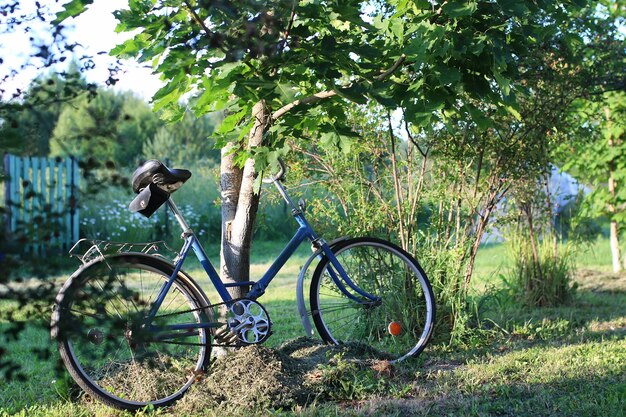 Bicicletta su una natura rurale