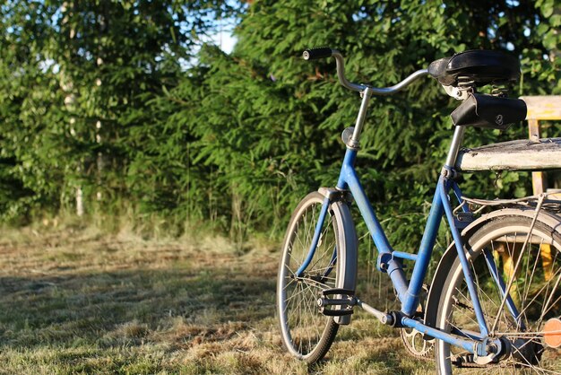 Bicicletta su una natura rurale