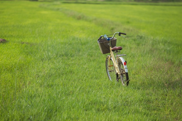 bicicletta sull&#39;erba verde