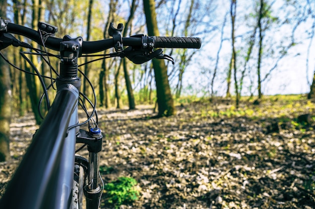 Bicicletta sulla strada campestre