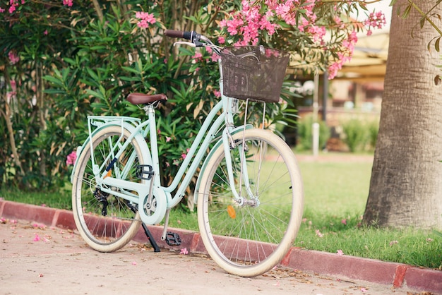 Bicicletta vintage da donna contro cespugli verdi e fiori rosa. Elegante bicicletta retrò con il cestino parcheggiato sulla strada.