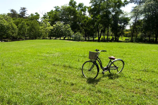 bicicletta vintage presso l'erba verde