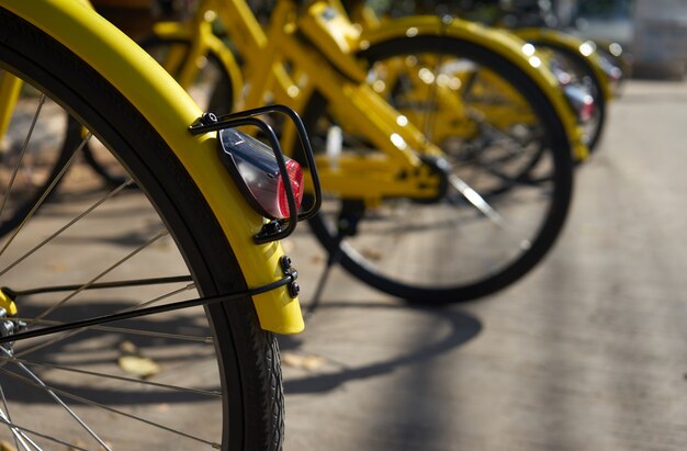 Biciclette gialle in giornata di sole